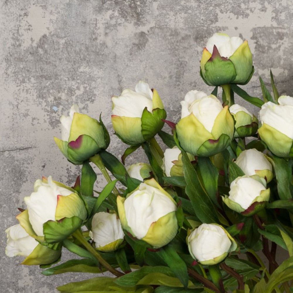 Real Touch Peony Buds Cream 48cm Artificial Flowers